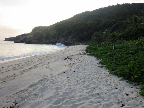 On St. Barths: Alone on Gouverneur Beach