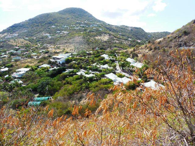 Afternoon photo view of St Barths by Patti Pietschmann
