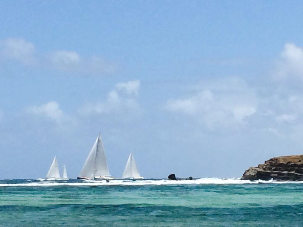 Bucket Regatta photo by Sylvie Doucet