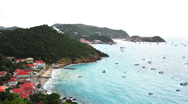 St Barths Corosol, photo by Jack Metthey