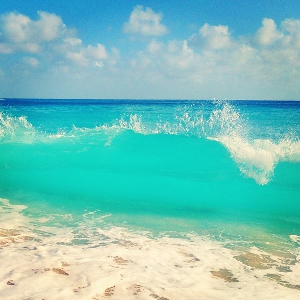 Crystal clear water in Anse du Gouverneur