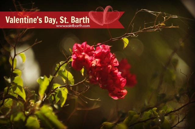 Valentine's Day in St. Barths