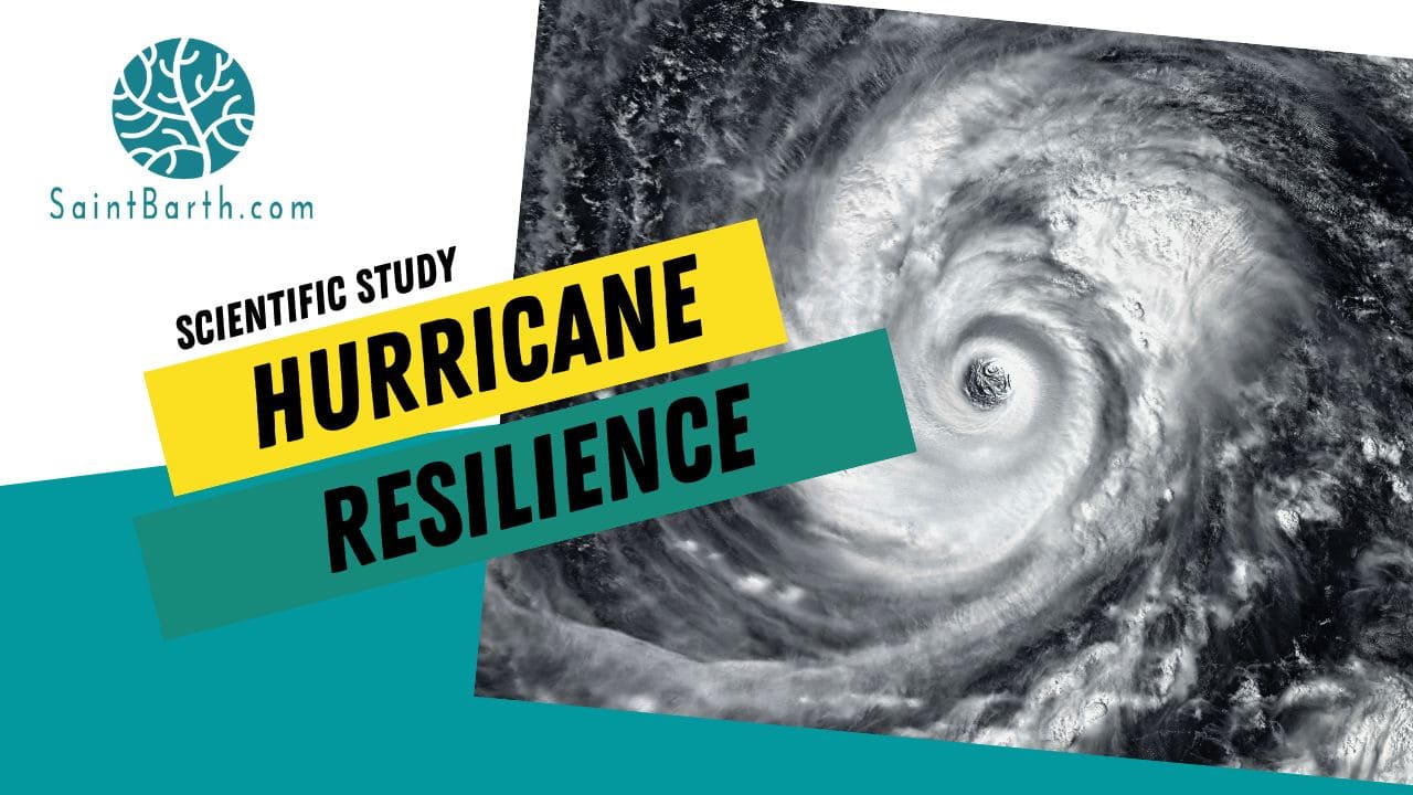 st barths resilience hurricane irma